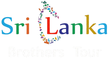 SL Brothers Tour Logo
